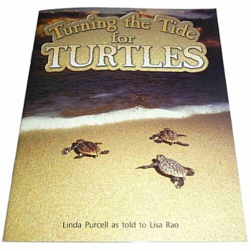 [중고] Turning the Tide for Turtles: Leveled Reader Grade 4 (Paperback)