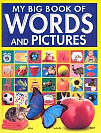 My Big Book of Words and Pictures (Hardcover)