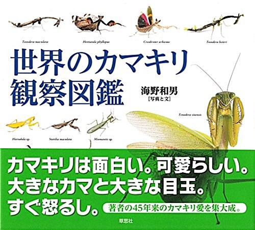 世界のカマキリ觀察圖鑑 (大型本)