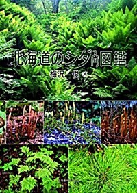 北海道のシダ入門圖鑑 (單行本)