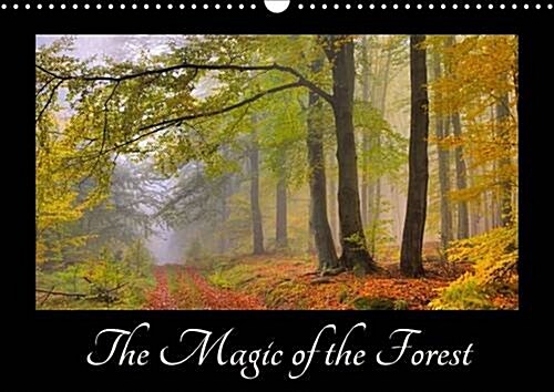 The Magic of the Forest 2016 : Different Types of Forests in the Course of the Year (Calendar)