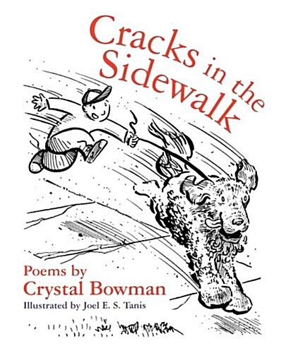 Cracks in the Sidewalk (Paperback)