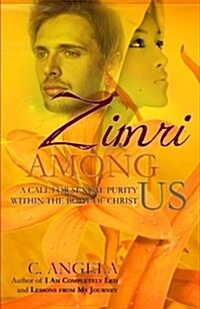 Zimri Among Us: A Call for Sexual Purity Within the Body of Christ (Paperback)