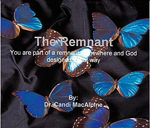 The Remnant CD: Teaching: You Are Part of a Remnant Somewhere and God Designed It That Way (Hardcover)