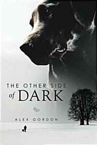 The Other Side of Dark (Paperback)