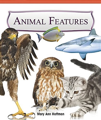 Animal Features (Paperback)