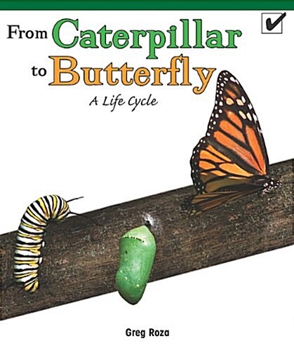 From Caterpillar to Butterfly: A Life Cycle (Paperback)