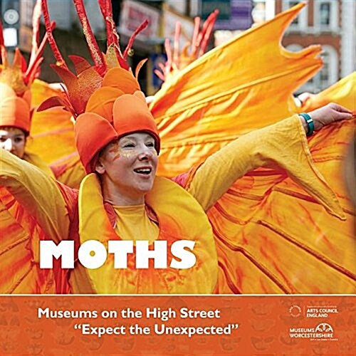 Moths: Museums on the High Street (Paperback)