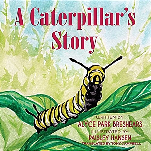 A Caterpillars Story (Paperback)