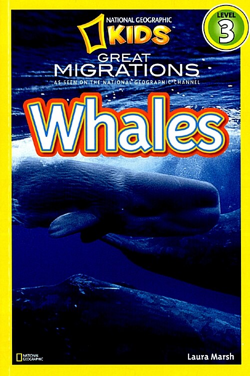 [중고] Whales (Paperback)