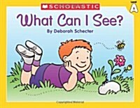 What Can I See? (Paperback)