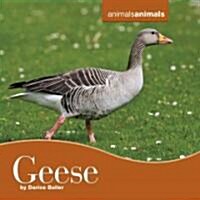 Geese (Library Binding)