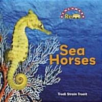 Sea Horses (Library Binding)