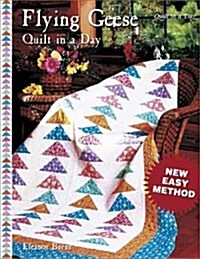 Flying Geese Quilt in a Day (Paperback)