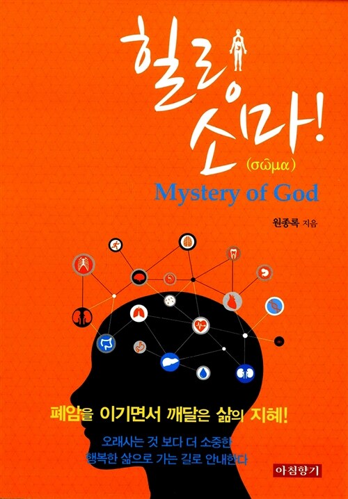 [중고] 힐링 소마 Mystery of God