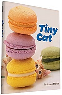 Tiny Cat (Hardcover)
