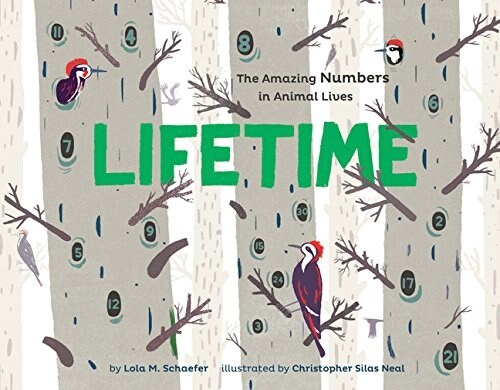 Lifetime: The Amazing Numbers in Animal Lives (Paperback)