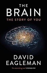 The Brain : The Story of You (Hardcover, Main)