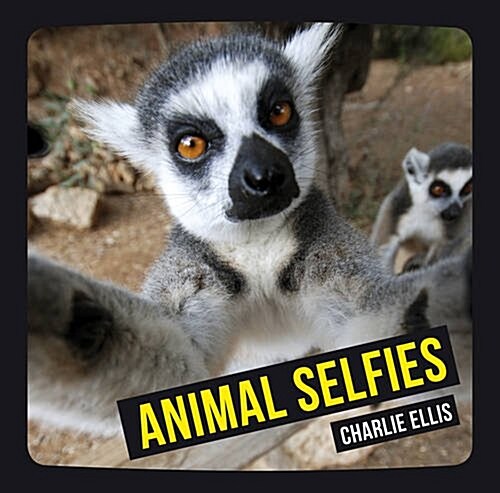 [중고] Animal Selfies (Hardcover)