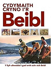 Cydymaith Cryno Ir Beibl (Paperback)