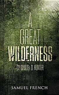 A Great Wilderness (Paperback)