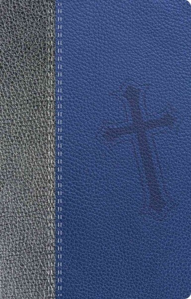 Santa Biblia Promesas-Ntv (Imitation Leather)