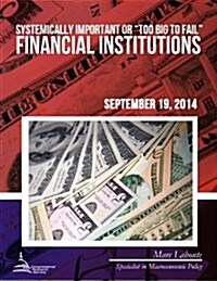 Systemically Important or Too Big to Fail Financial Institutions (Paperback)