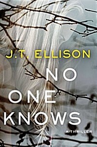 No One Knows (Hardcover)