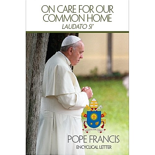 On Care for Our Common Home: Laudato Si (Paperback)