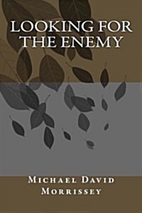 Looking for the Enemy (Paperback)