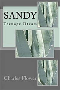 Sandy: Teenage Dream (Paperback)