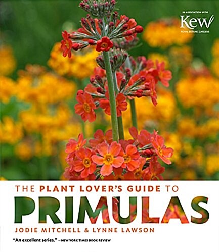 The Plant Lovers Guide to Primulas (Hardcover)