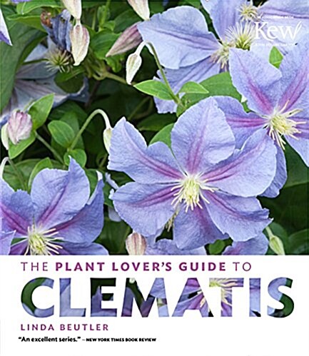The Plant Lovers Guide to Clematis (Hardcover)