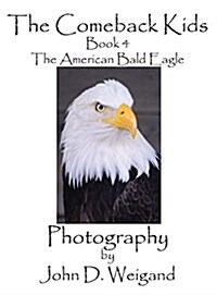 The Comeback Kids, Book 4, the American Bald Eagle (Hardcover, Picture Book)