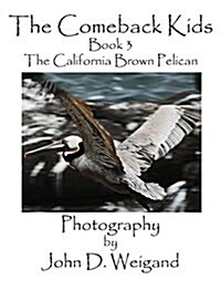 The Comeback Kids, Book 3, the California Brown Pelican (Hardcover, Picture Book)