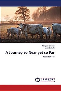 A Journey So Near Yet So Far (Paperback)