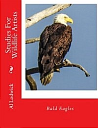 Bald Eagles: Studies for Wildlife Artists (Paperback)