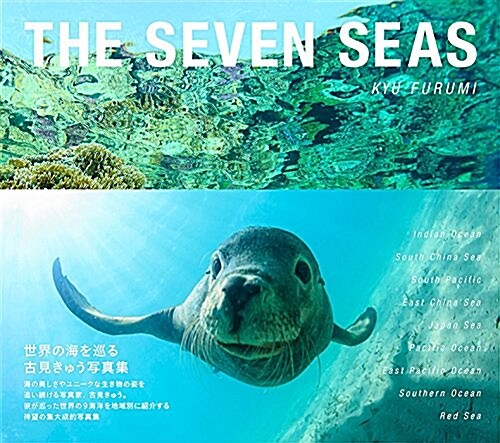 [중고] THE SEVEN SEAS (單行本(ソフトカバ-))