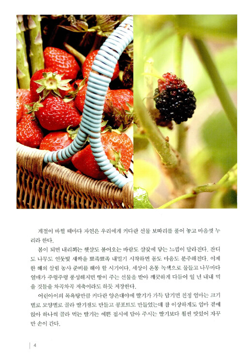 잼 콩포트 식초 청 : 자연이 주는 사계절 선물