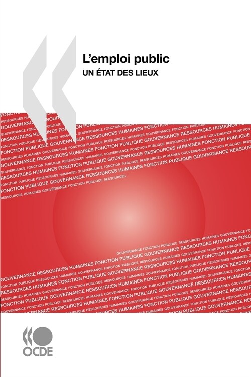 LEmploi Public: Un Etat Des Lieux (Paperback)