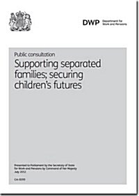 Supporting Separated Families, Securing Childrens Futures (Paperback)