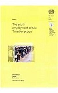 The Youth Employment Crisis (Paperback)