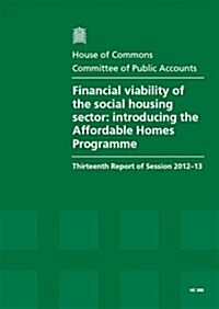 Financial Viability of the Social Housing Sector (Paperback)