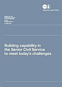 Building Capability in the Senior Civil Service to Meet Todays Challenges (Paperback)