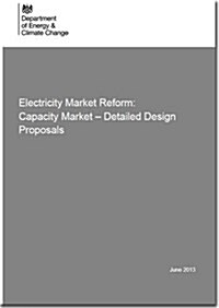 Electricity Market Reform (Paperback)