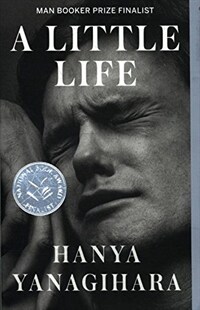 A Little Life (Paperback)