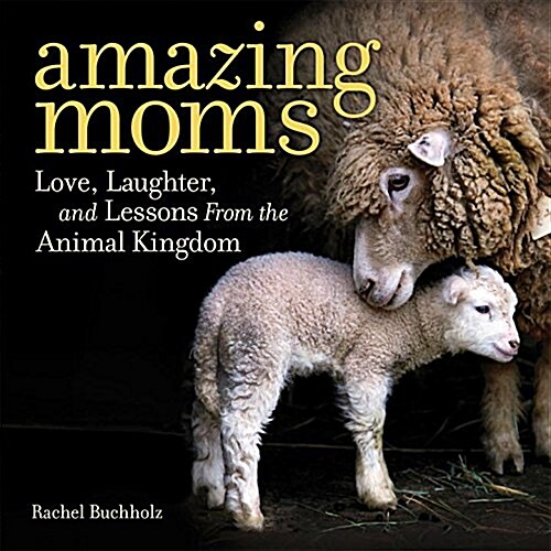 Amazing Moms: Love and Lessons from the Animal Kingdom (Hardcover)
