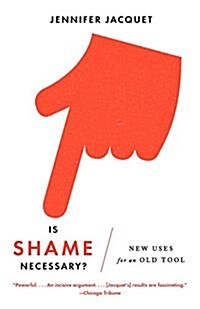 Is Shame Necessary?: New Uses for an Old Tool (Paperback)