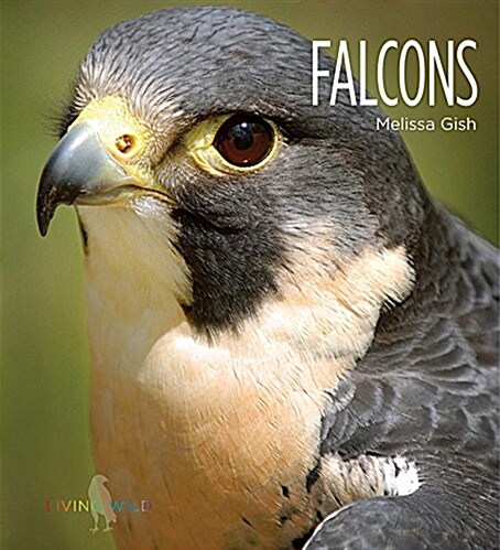 Falcons (Paperback)