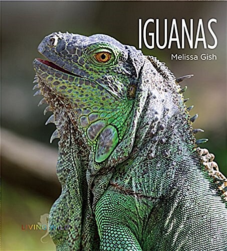 Iguanas (Paperback)